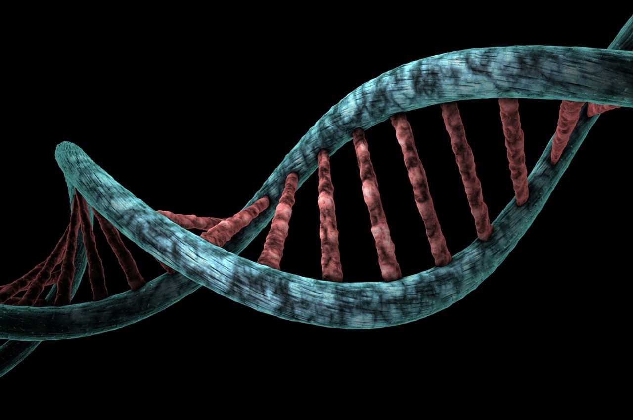 Análises do genoma de idosos  possibilitarão identificar mutações responsáveis por doenças genéticas / Foto: Pixabay