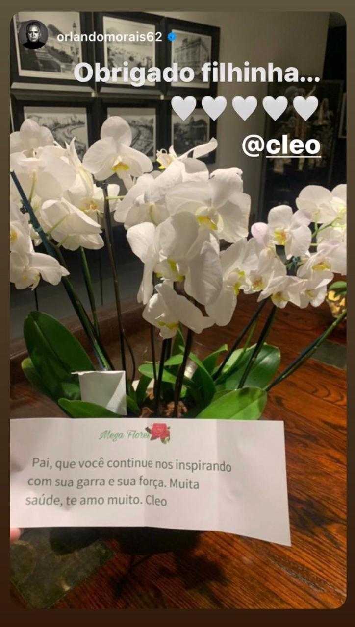 Cleo Pires manda flores após Orlando Morais receber alta: 