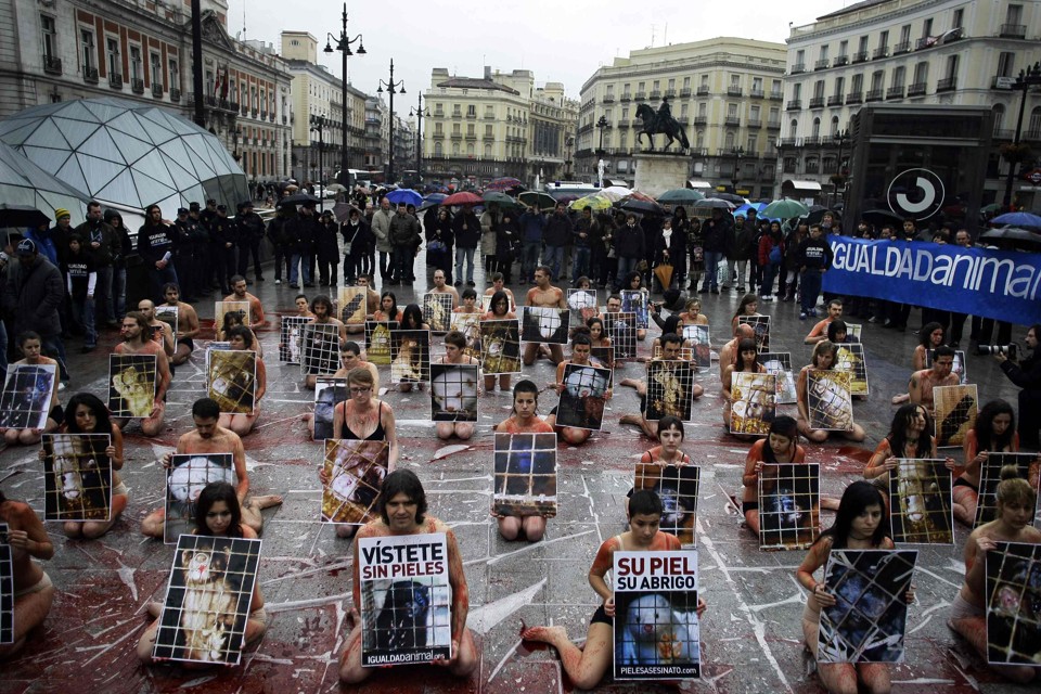 Ativistas fazendo manifestação contra o uso de peles de animais - Reprodução/GazetaDoPovo Lorena Bueri
