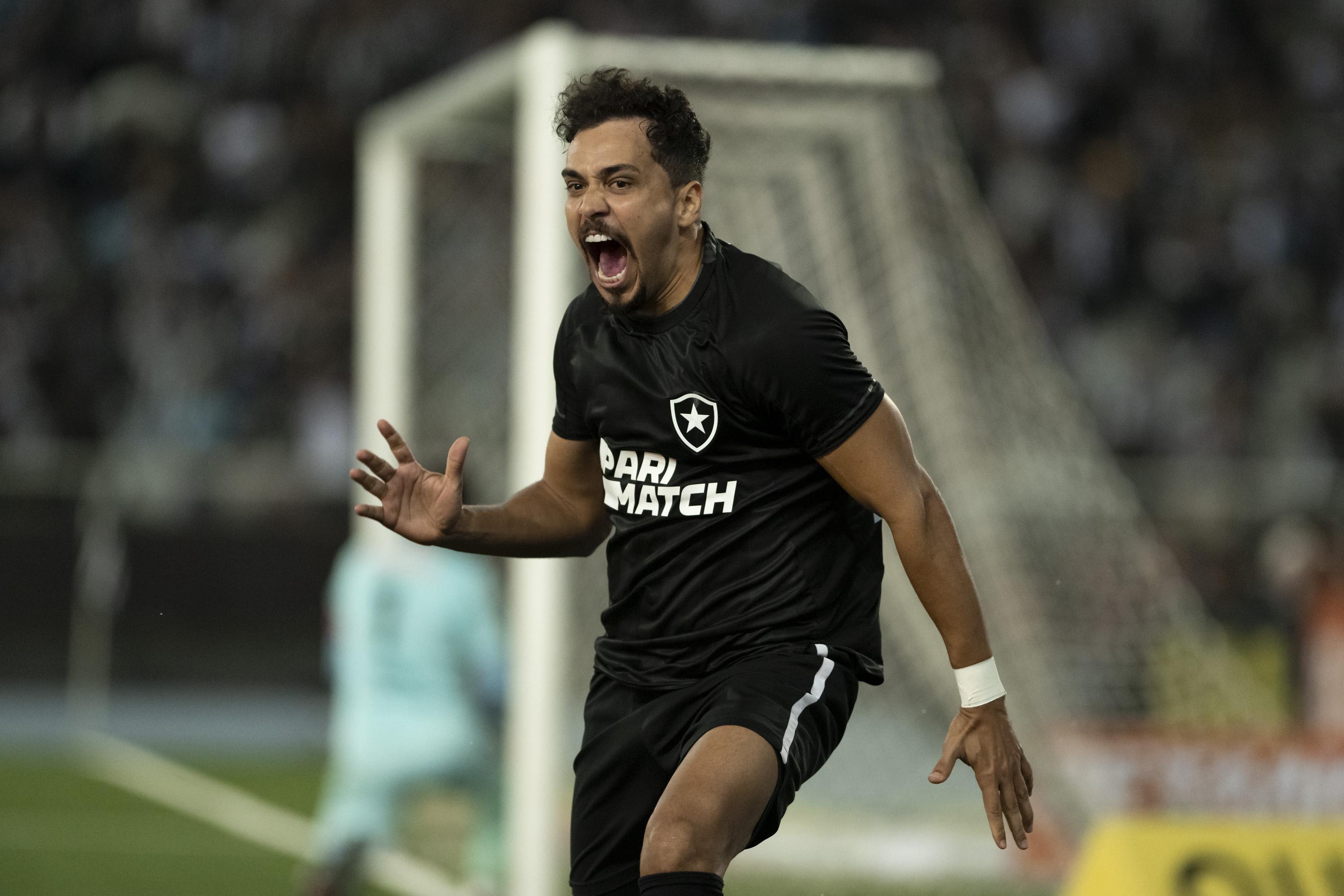 Contra o Goiás, Botafogo atingirá número histórico de público no Nilton  Santos em jogos pelo Brasileirão - Lance - R7 Futebol