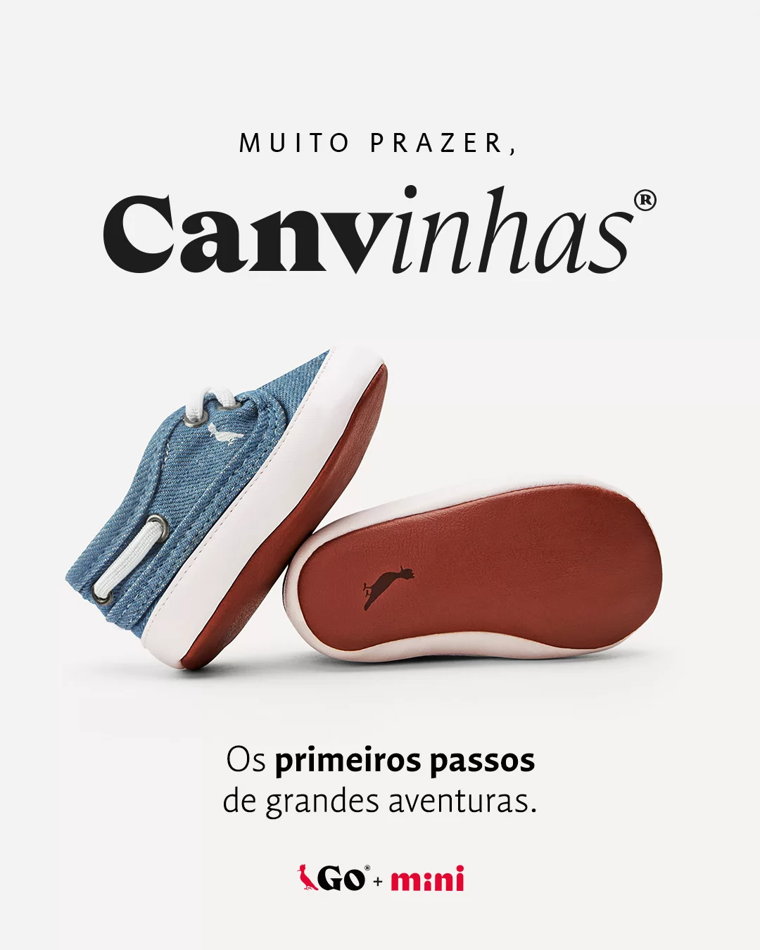 canvinhas