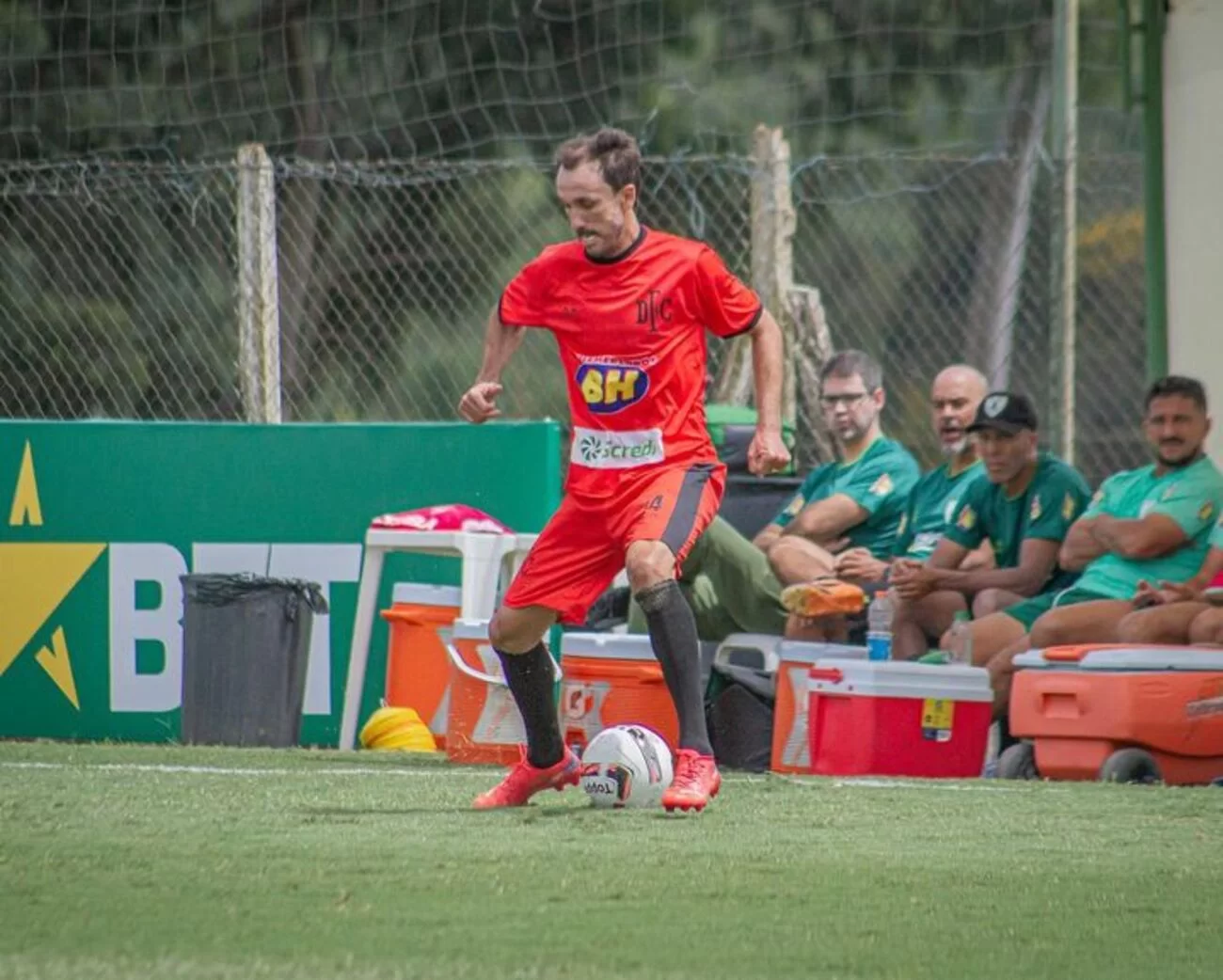 Campeonato Paulista - Diário do Peixe