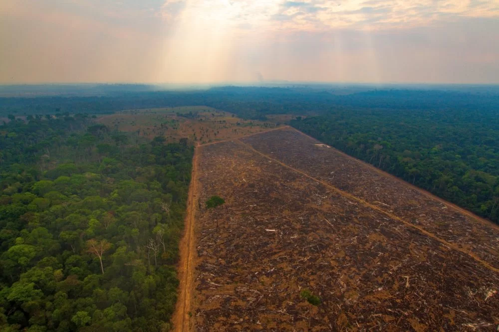 Área desmatada ilegalmente na Floresta Amazônica.