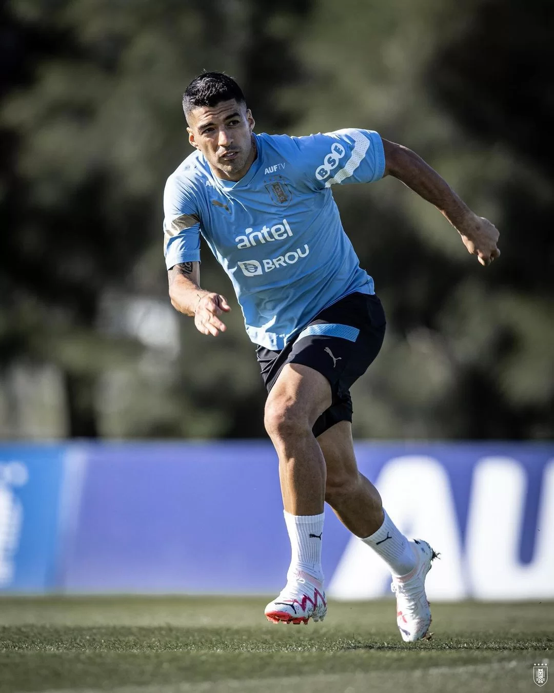 Luis Suárez em treino para confronto do Uruguai contra Argentina, nesta quinta-feira