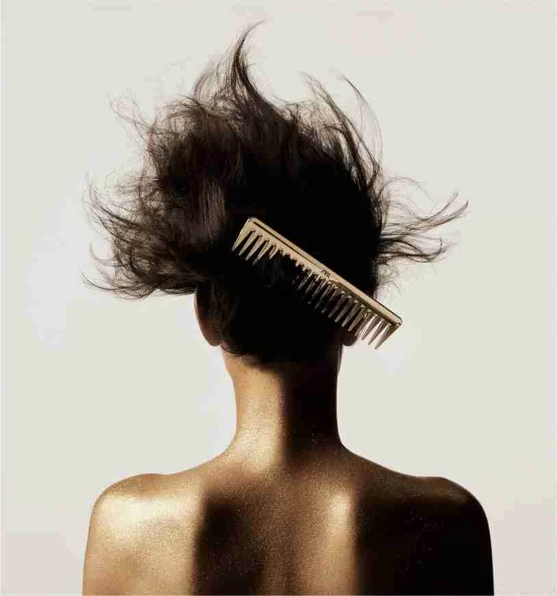 Zara Hair - Pente de cabelo (foto: reprodução/Zara) Lorena Bueri