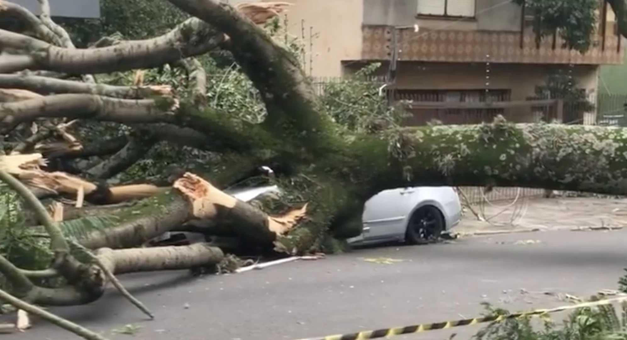 Árvore destrói carro após tempestade no Rio Grande do Sul (Foto: reprodução/Poder360) Lorena Bueri