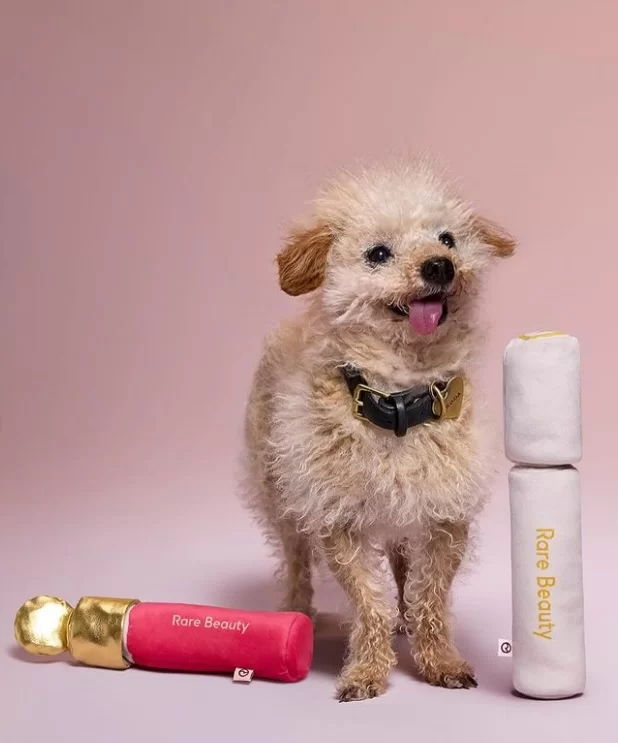 Rare Beauty lança produtos para pets após conseguir certificado Cruelty Free (Foto: reprodução/Instagram/@rarebeauty) Lorena Bueri