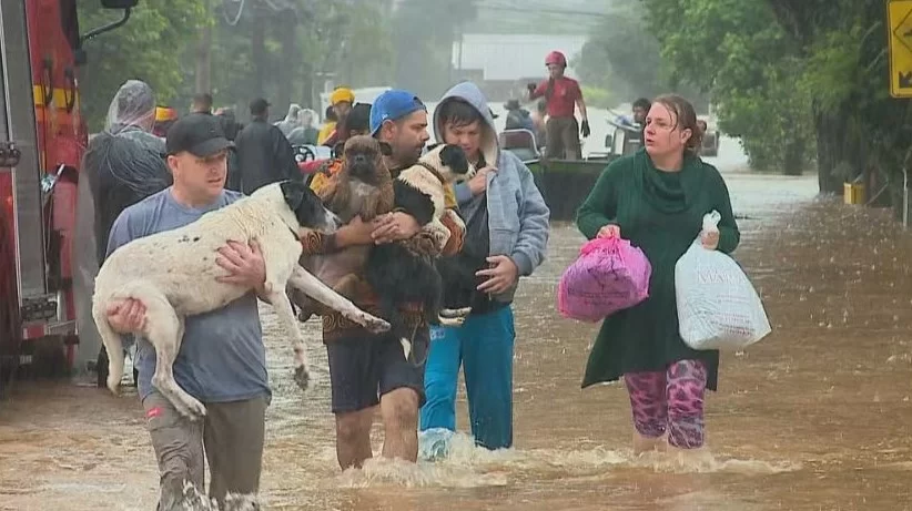 Animais são resgatados em Santa Cruz do Sul (Foto:reprodução/RBS TV/G1) Lorena Bueri