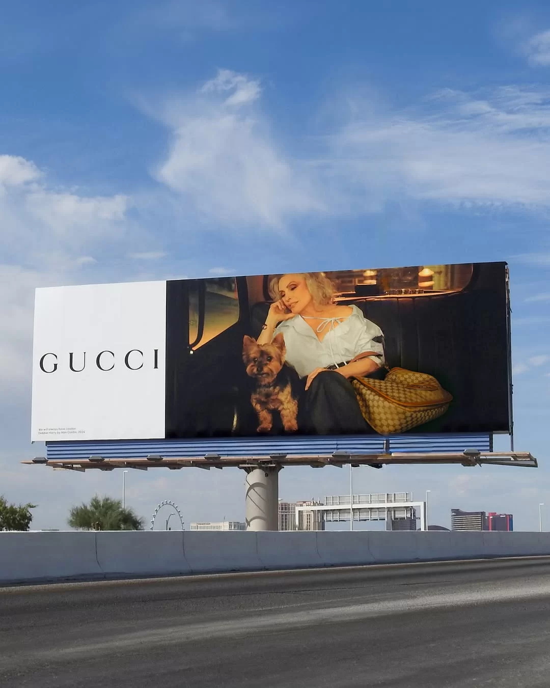 Gucci blondie