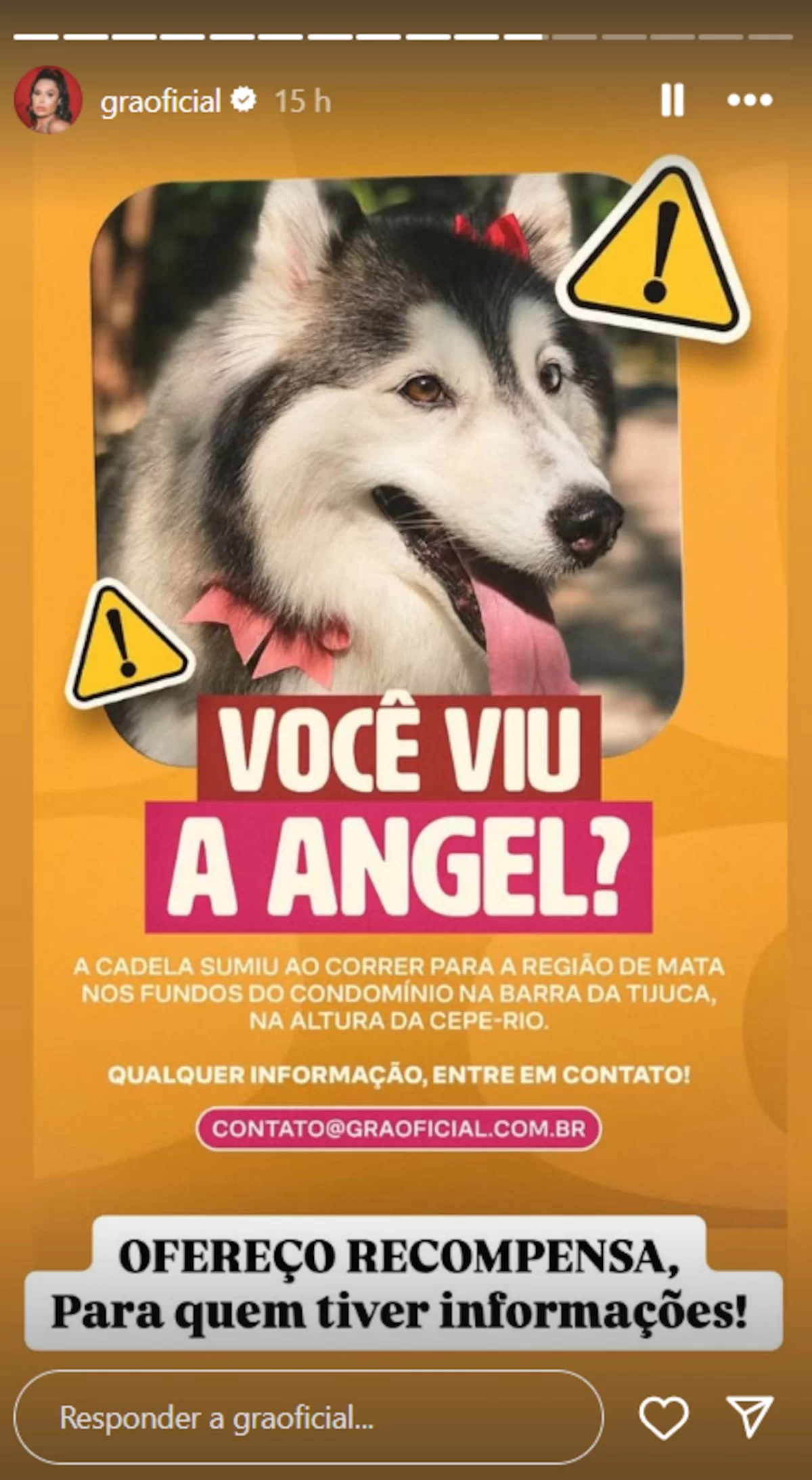 Gracyanne abre o coração sobre perda das cachorras (Foto: reprodução/Instagram/@graoficial) Lorena Bueri