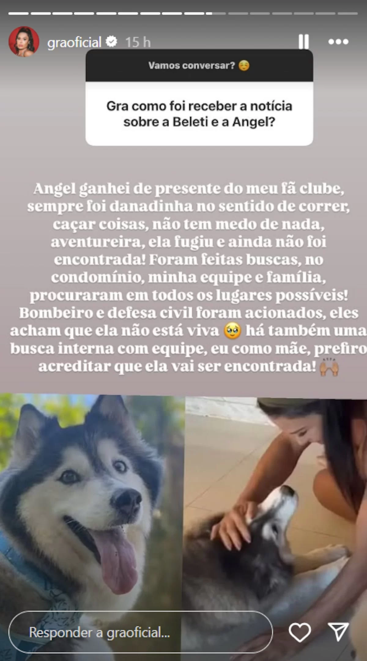 Gracyanne abre o coração sobre perda das cachorras (Foto: reprodução/Instagram/@graoficial) Lorena Bueri