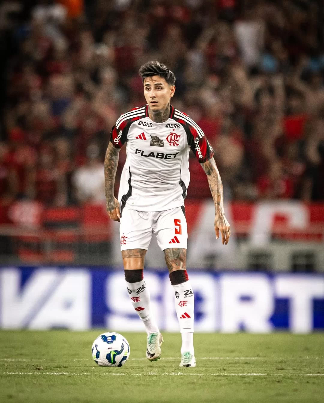 Erick Pulgar