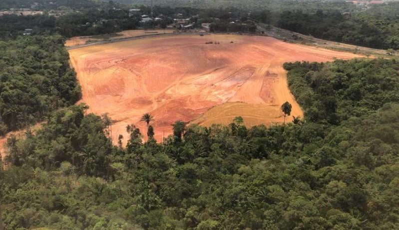 Mais uma vez o desmatamento na Amazônia sofre grande aumento Lorena Bueri
