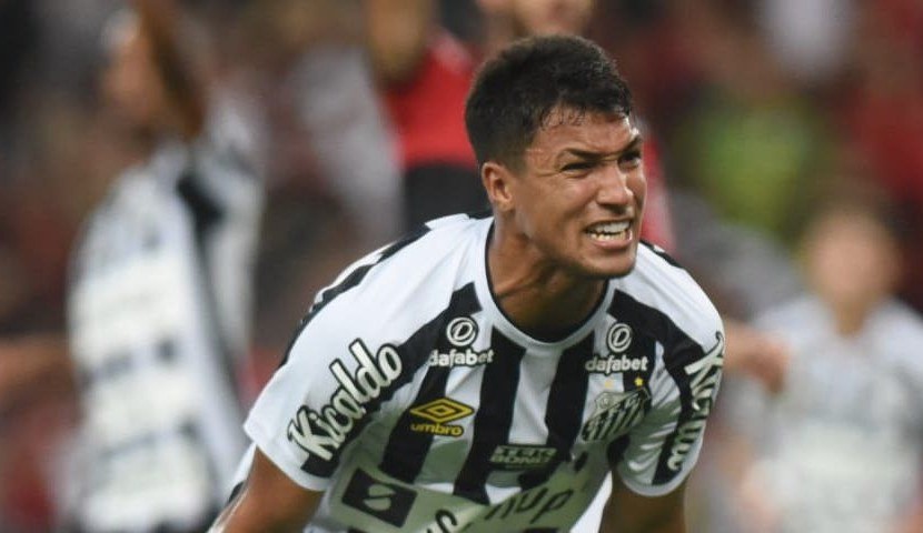 Santos vence o Flamengo e se livra do seu  primeiro rebaixamento da sua história