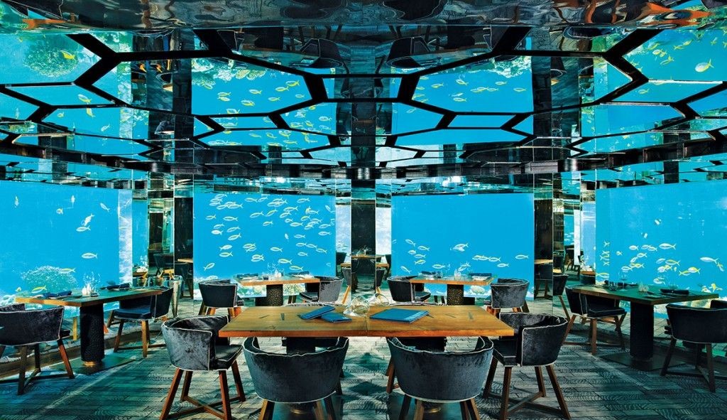 Conheça o destino dos sonhos com a experiência de restaurantes subaquáticos