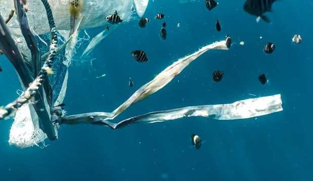 Impactos da beleza de plástico e como evitá-la 