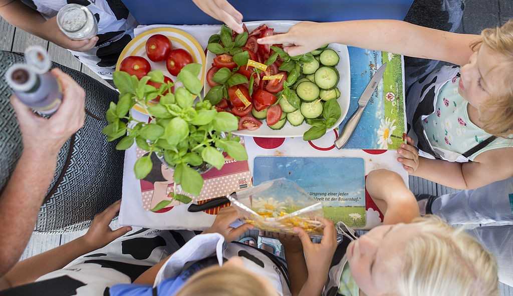 Férias escolares: alimentos que não podem faltar para as crianças