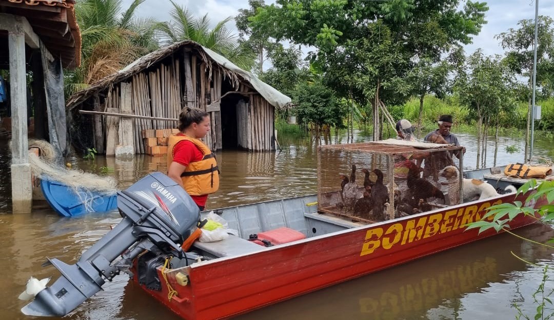 Situação de emergência é decretada em Tocantins por causa das enchentes