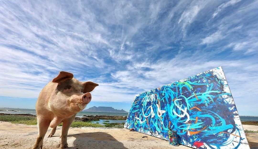 ‘Pigcasso’; Porca pintora quebra recorde e vende quadro por 150 mil reais