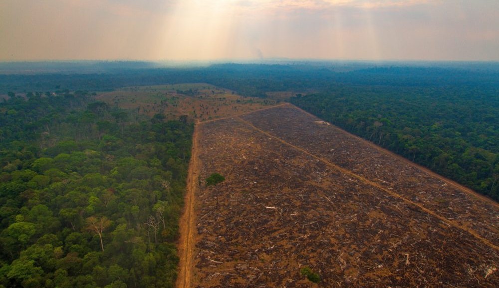 Amâzonia: desmatamento em 2021 é o maior em uma década Lorena Bueri