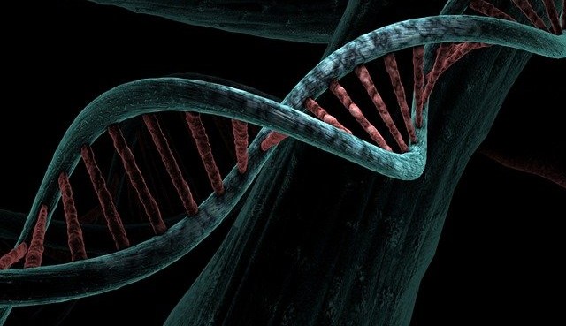 Pesquisadores descobrem variante genetica que é mais resitente ao Covid-19 Lorena Bueri