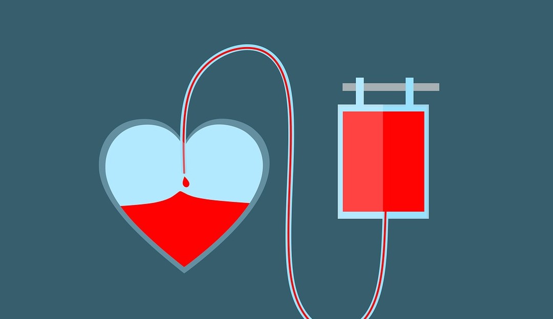 Ministério da Saúde e Anvisa atualizam as regras para doação de sangue durante a pandemia Lorena Bueri