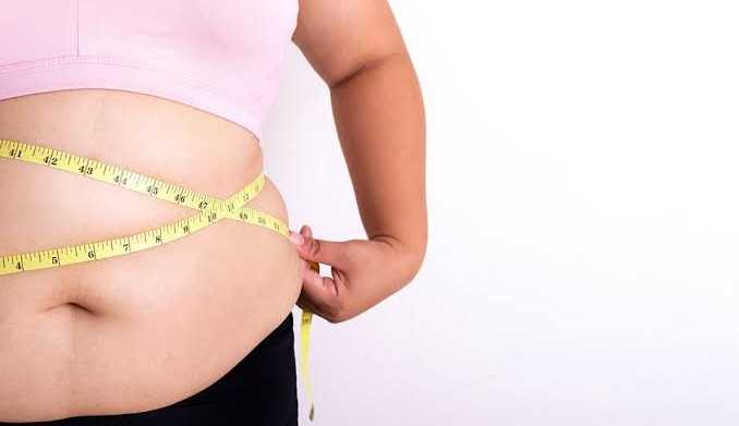 Fatores e doenças ligados à obesidade Lorena Bueri