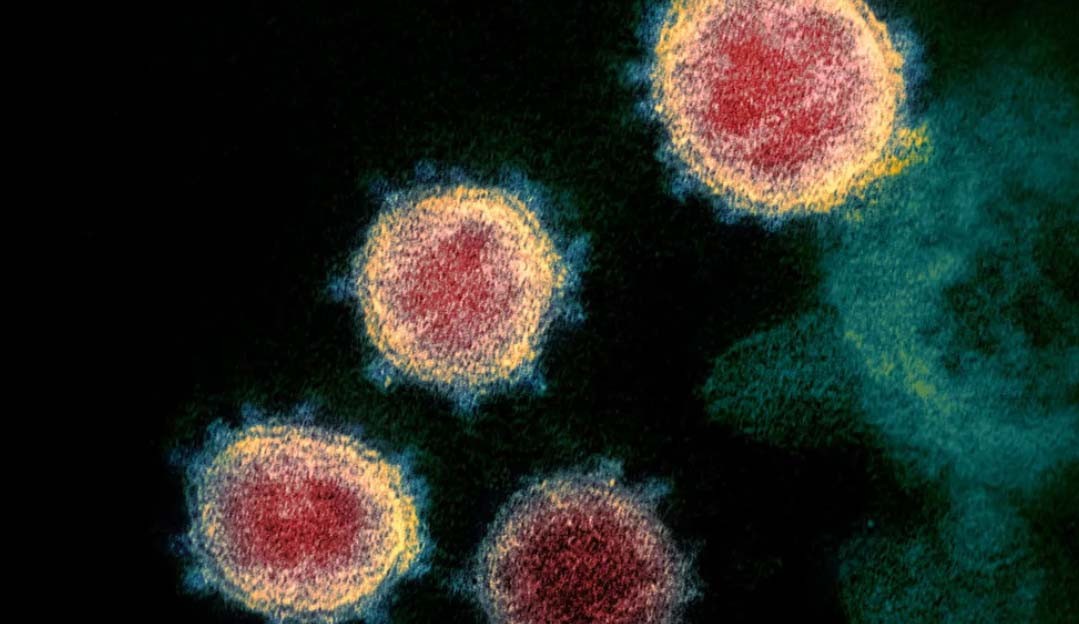 Compostos contra diabetes, hepatite e HIV reduzem ação do Sars-CoV-2 segundo pesquisa