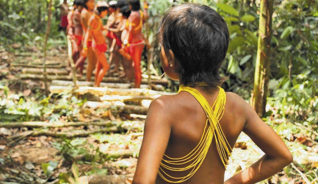 Garimpeiros exigem sexo com meninas indígenas em troca de comida Lorena Bueri