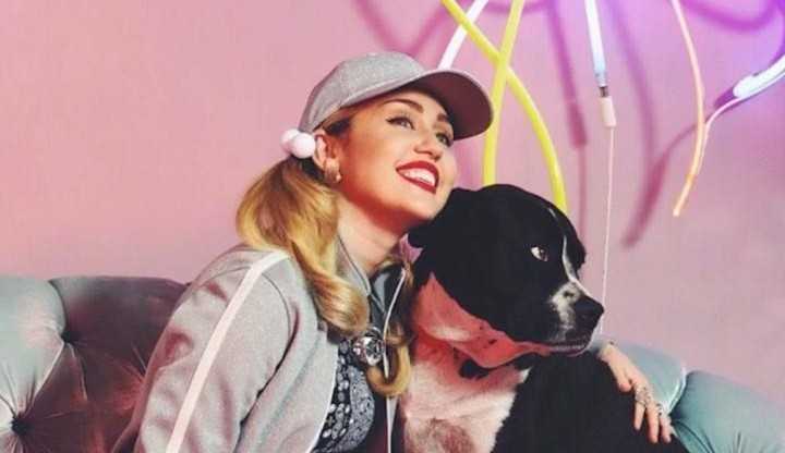 Miley Cyrus se emociona em rede social ao lamentar a morte de seu cachorro 