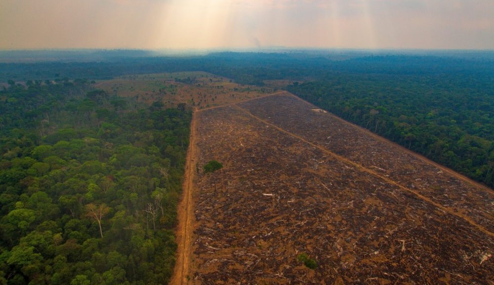 Desmatamento na Amazônia bate recorde em abril Lorena Bueri