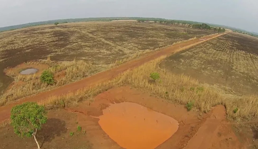 Ministério Público de Tocantins (MPTO) fará investigação em áreas de desmatamento ilegal que correspondem a 28 mil campos de futebol