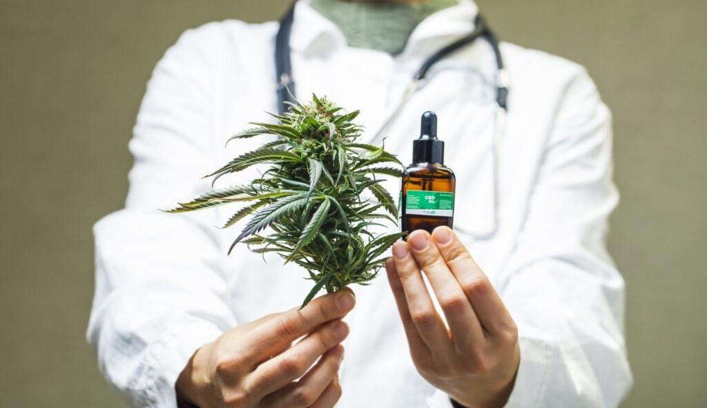 Cannabis medicinal auxilia no tratamento de esclerose múltipla 