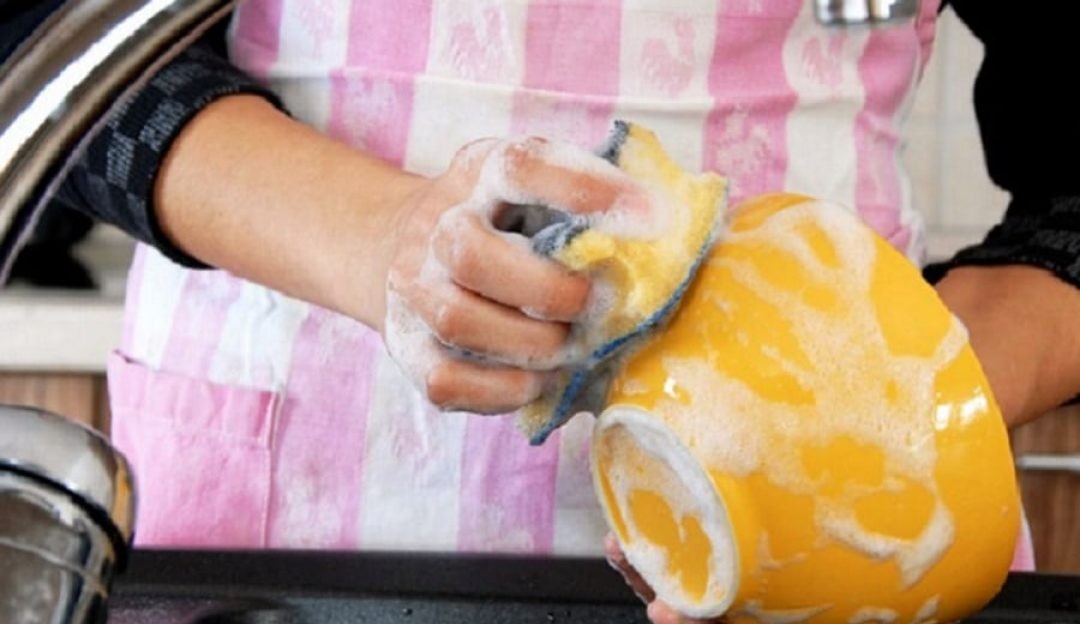 Esponja de cozinha abriga milhões de bactérias, saiba a maneira mais segura de lavar louças