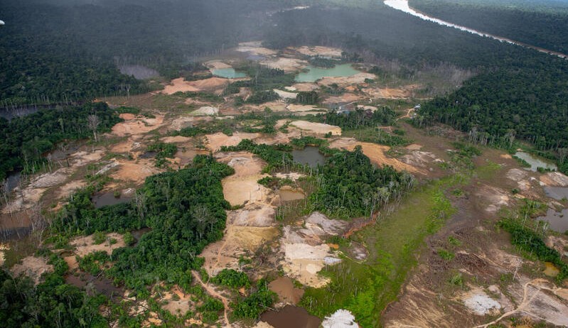 Desmatamento na Amazônia cresce significamente nos últimos três anos 