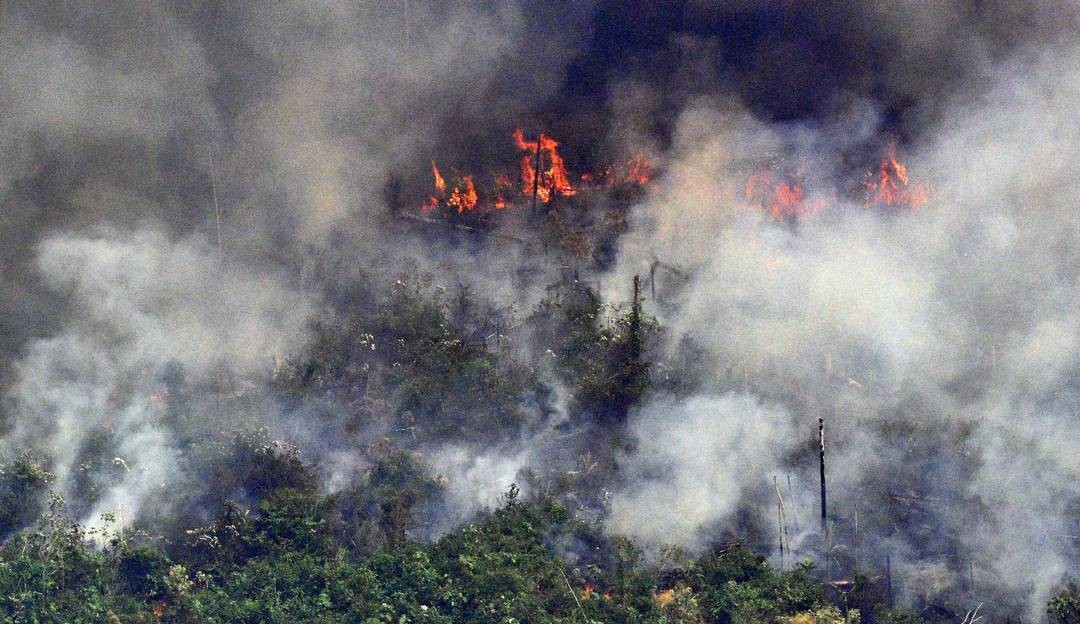 Número de focos de incêndio na Amazônia é o maior para junho desde 2007, diz Inpe Lorena Bueri