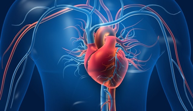 Insuficiência cardíaca: entenda como reconhecer os sinais da condição