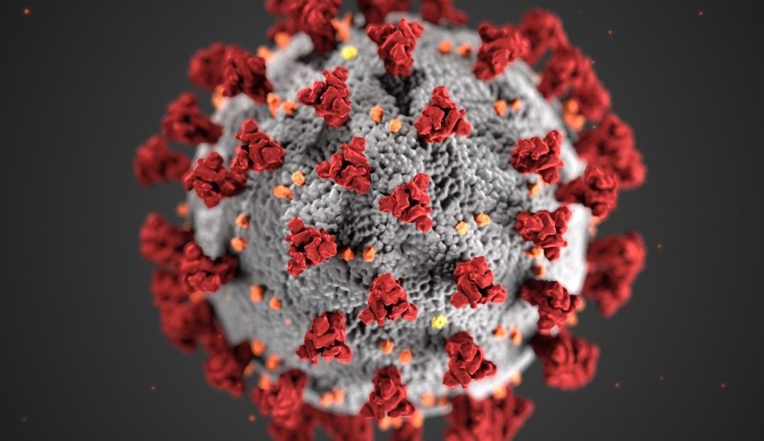 Nova variante do vírus da Covid-19 preocupa cientistas