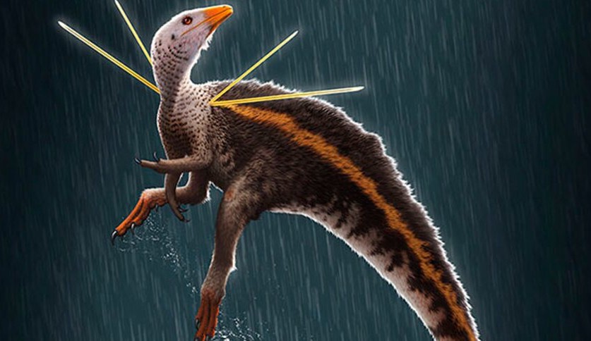 Museu alemão terá de devolver fóssil de dinossauro levado ilegalmente do Brasil