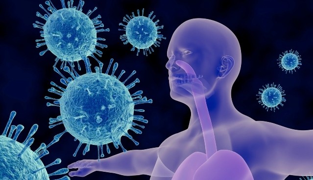 Entenda como funciona o sistema imunológico