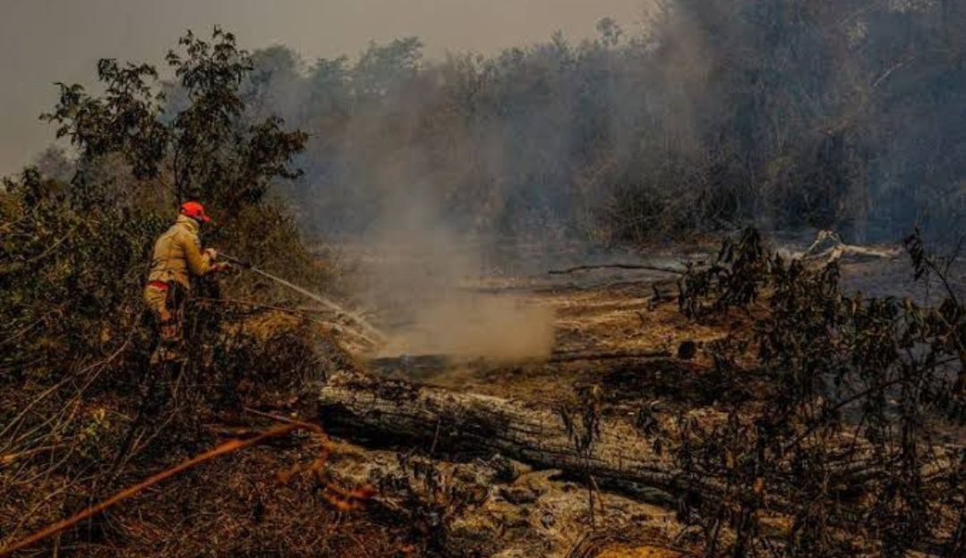 No Brasil, focos de incêndio aumentaram cerca de 350% entre janeiro e julho