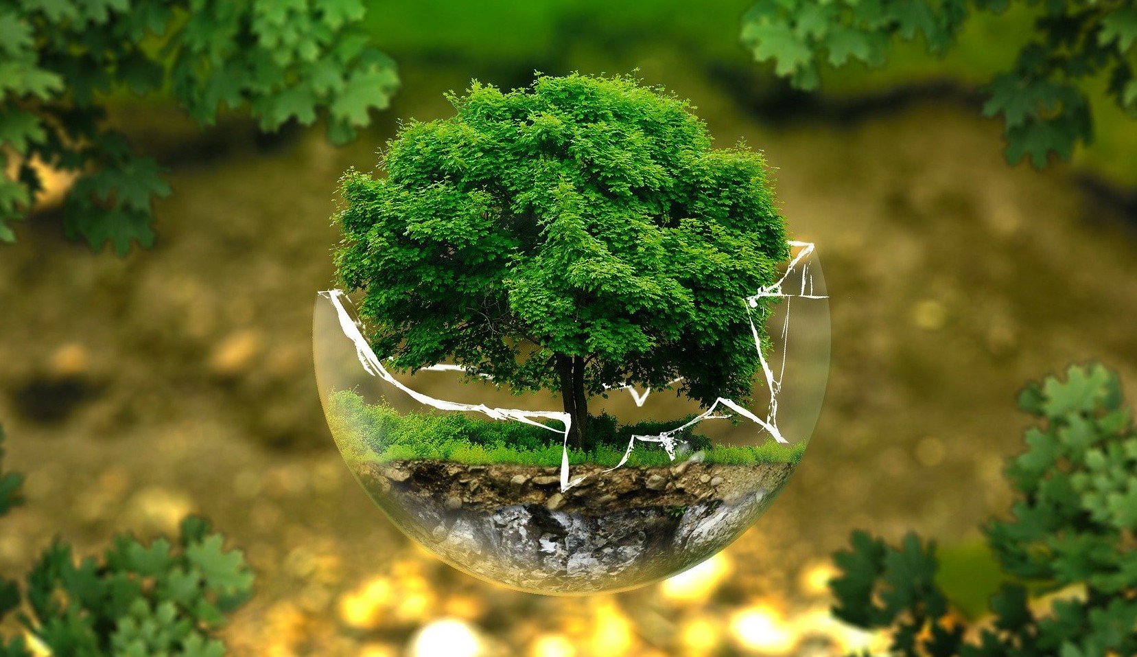 Alternativas tecnológicas para economizar e preservar o meio ambiente