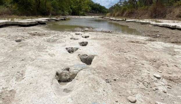 Pegadas de dinossauros aparecem após seca de rio no Texas