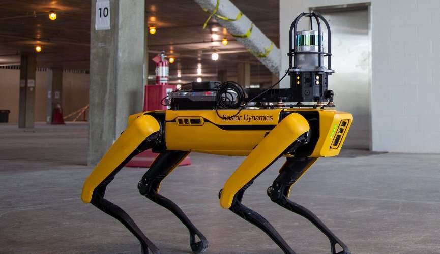 Yellow: Cão robô será segurança no Rock In Rio 2022