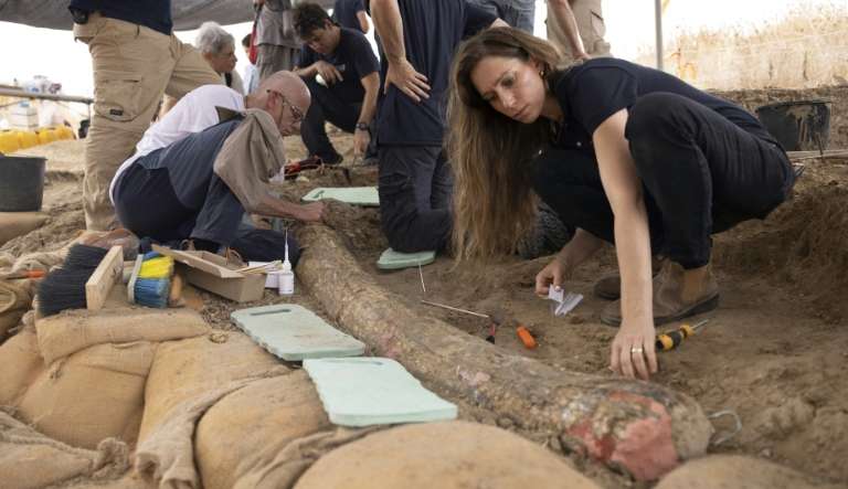 Presa de elefante da pré-história é encontrada em Israel