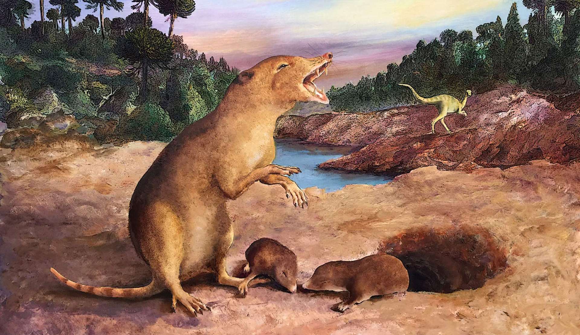 Fósseis encontrados no Brasil ajudam a identificar mamífero mais antigo do planeta Lorena Bueri