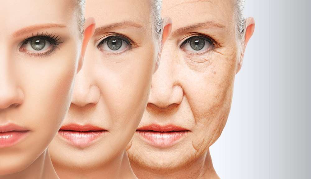 Envelhecimento precoce: Melhores dicas para prevenir Lorena Bueri
