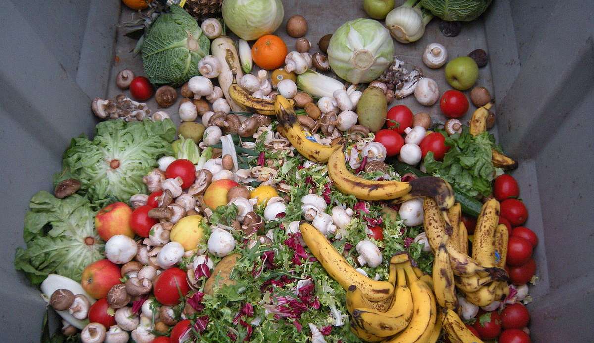 Em média 27 milhões de toneladas de alimentos são desperdiçadas no Brasil por ano Lorena Bueri
