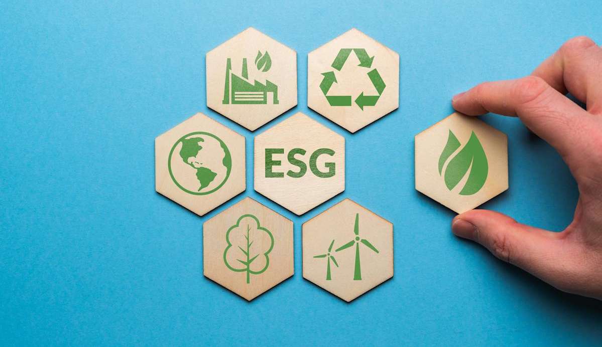 Entenda o que é ESG e porque é tão importante no mundo empresarial Lorena Bueri