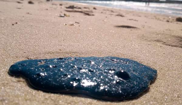 Cerca de 18 quilos de óleo foram recolhidos de praias de Natal Lorena Bueri